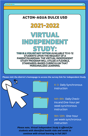 Virtual Independent Study